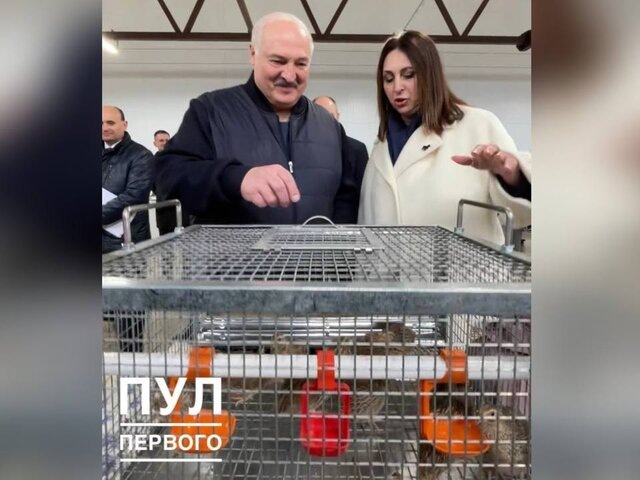    Фото: телеграм-канал "Пул Первого"