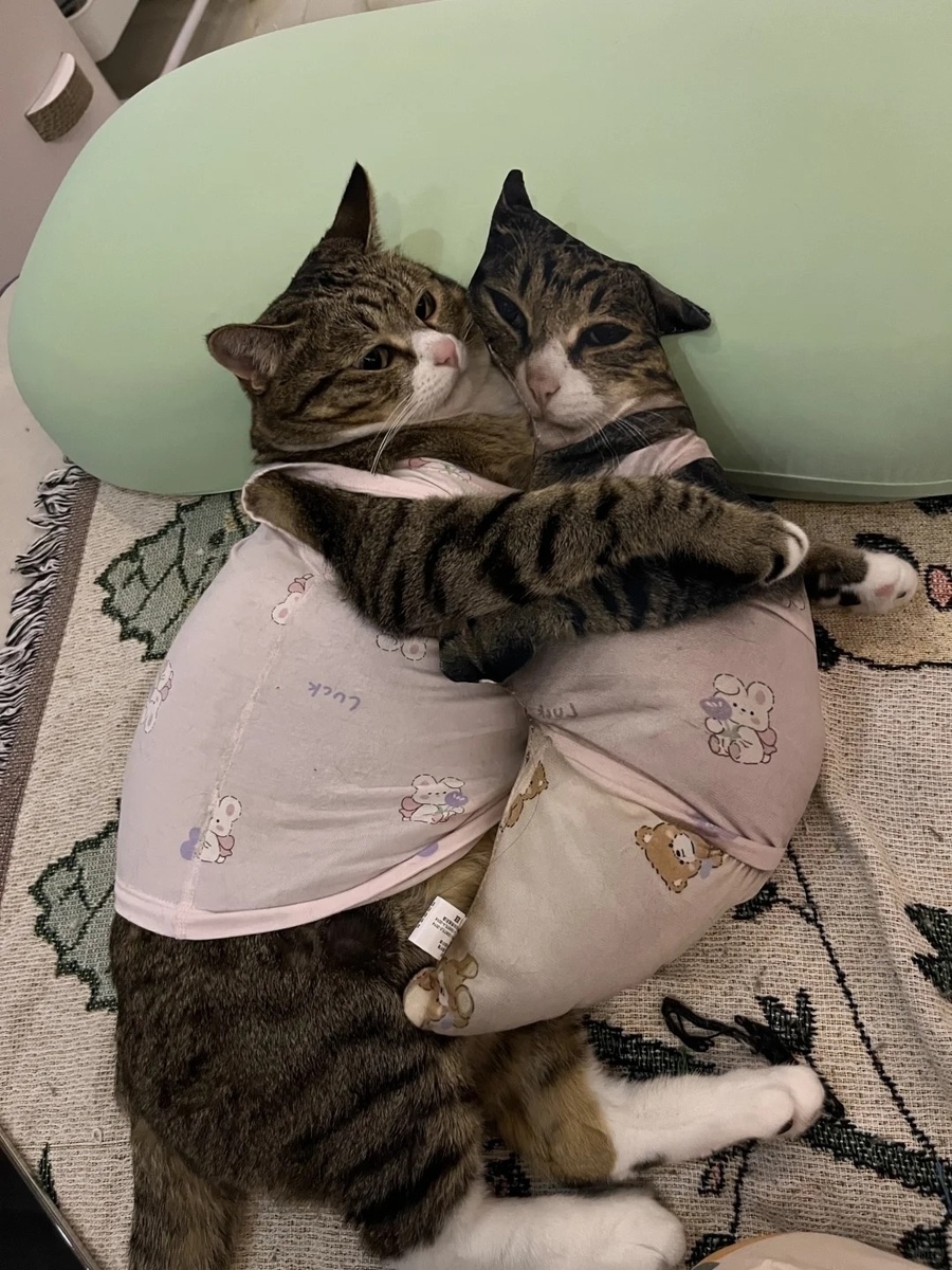 Где-то в мире котик грустит без поддержки, не решаясь попробовать занятия онлайн... 