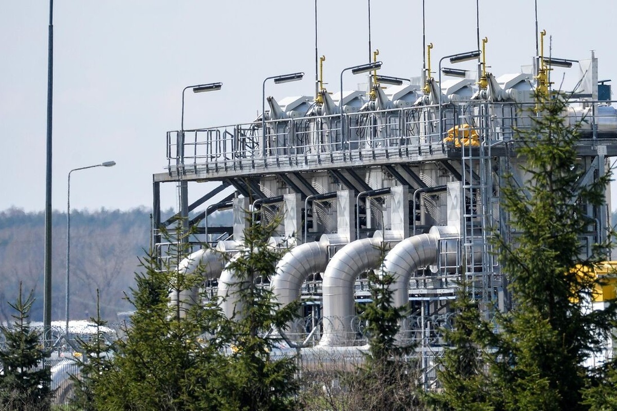    Фото: Алексей Витвицкий, источник: ria.ru