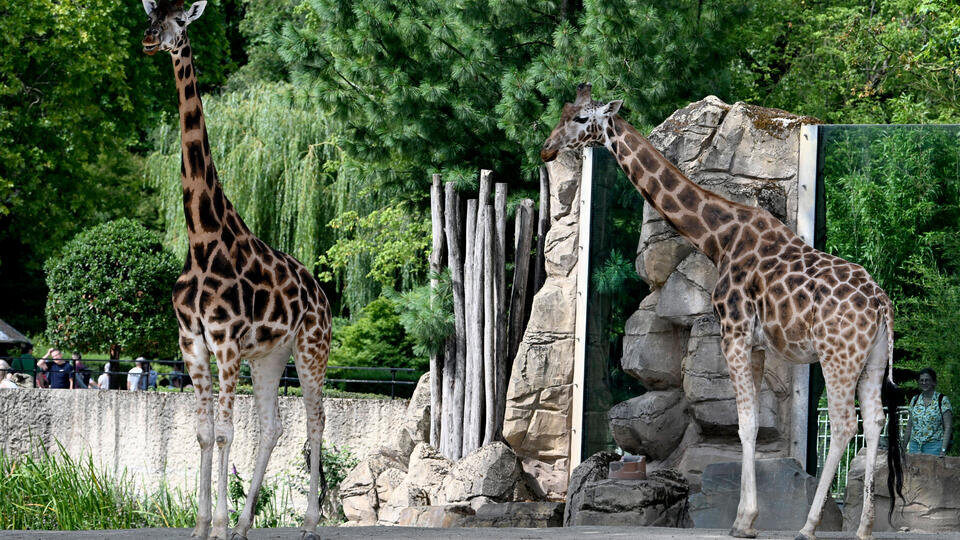 ФОТО: Bert Van Den Broucke/IMAGO/Photo News/TASS