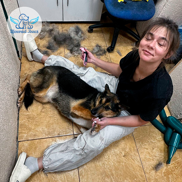 Брауни с грумером