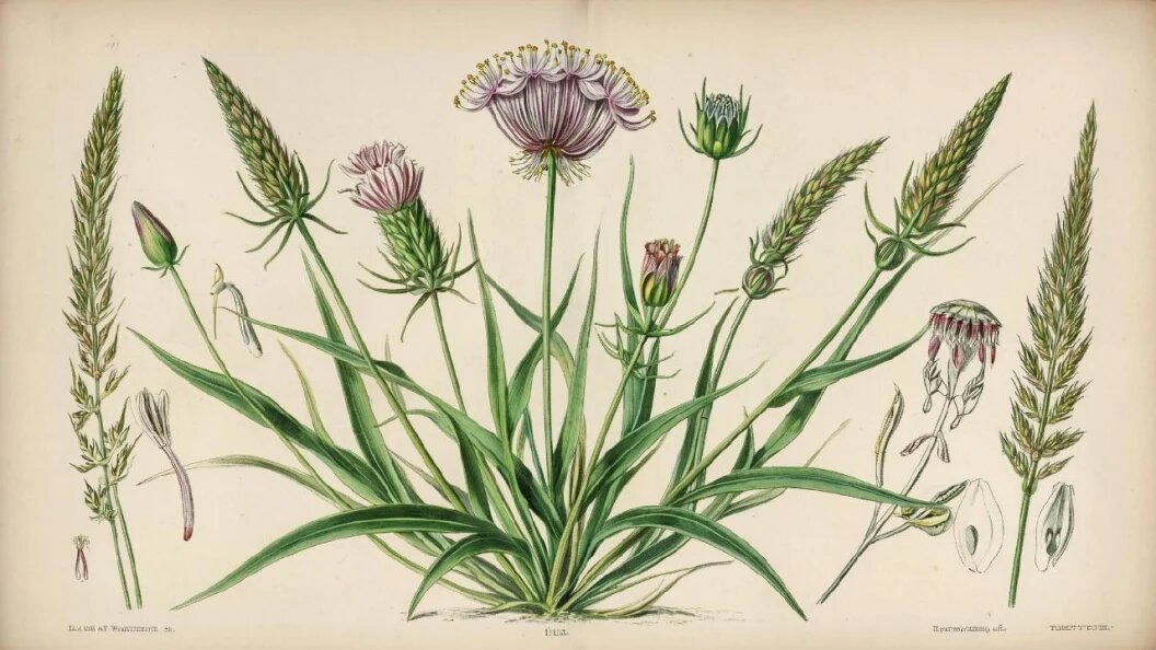    Фото: сгенерировано ИИ