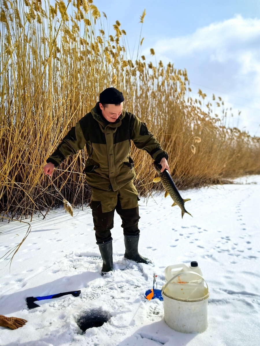 Фото автора, февраль 2025 года 