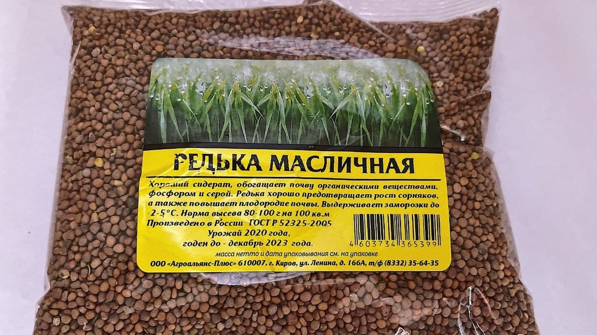 Редька масличная семена