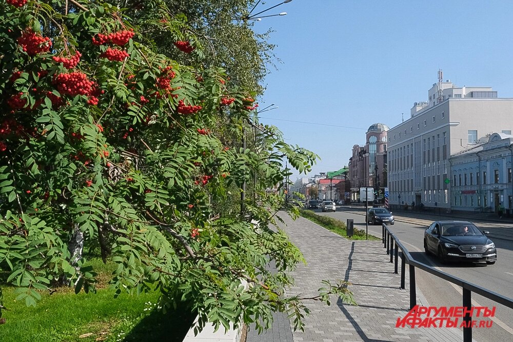   Фото: АиФ/ Виктор Михалев