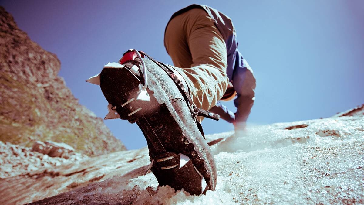    Фото: Shutterstock