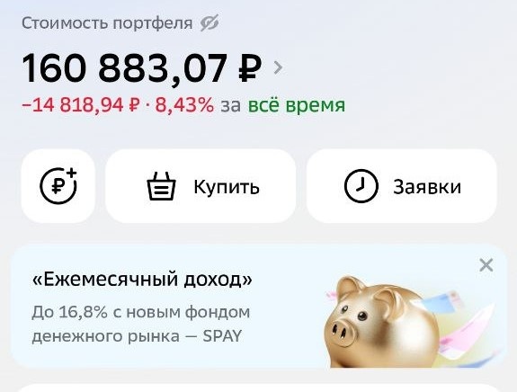 Скриншот стоимости портфеля