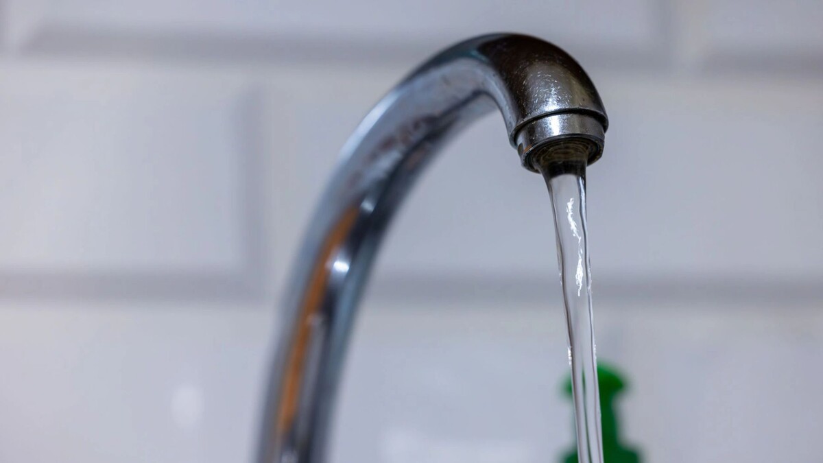    Фото: Федор Воронов/«Ямал-Медиа»