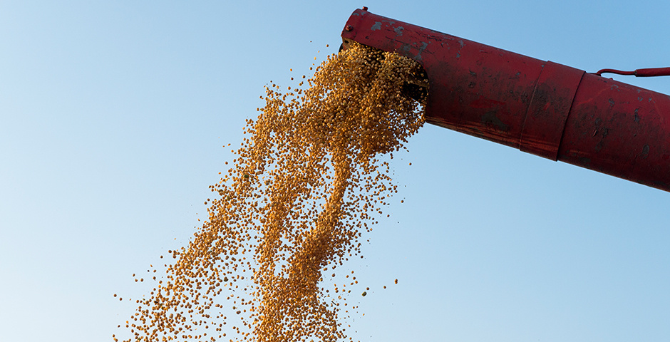    Фото: aleksandarlittlewolf/Freepik