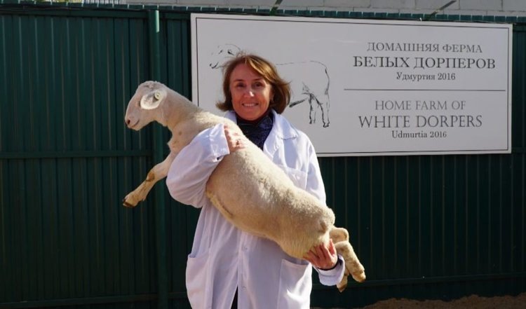    Фото: Минсельхозпрод Удмуртской Республики