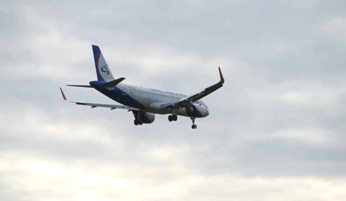     Самолет в небе. Источник: spb.kp.ru Автор фото: Юлия Пыхалова