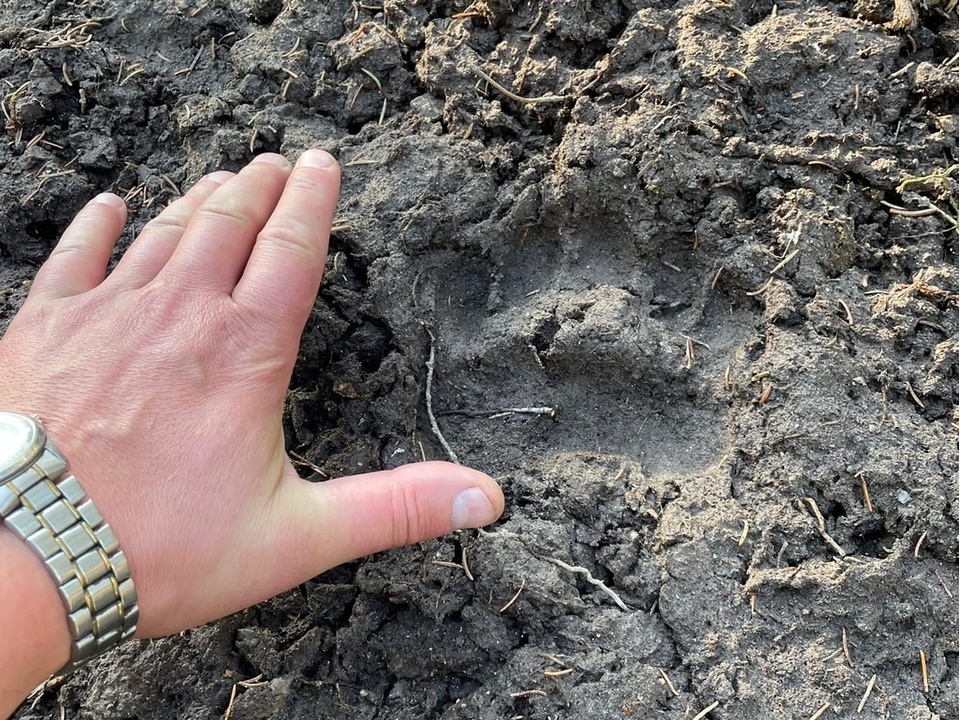    Фото: Сергей Лысенко