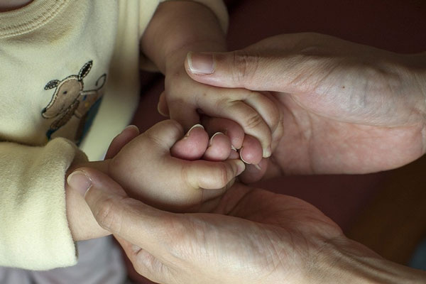     Фото: pixabay.com