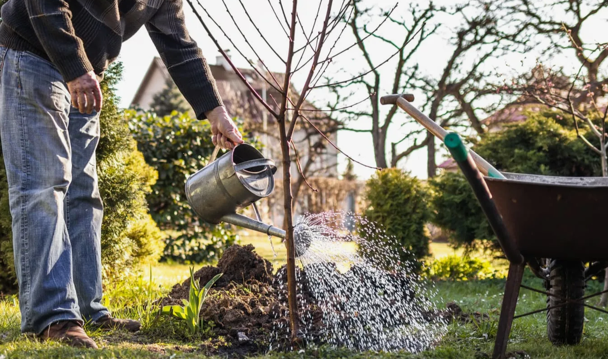 полив сада осенью