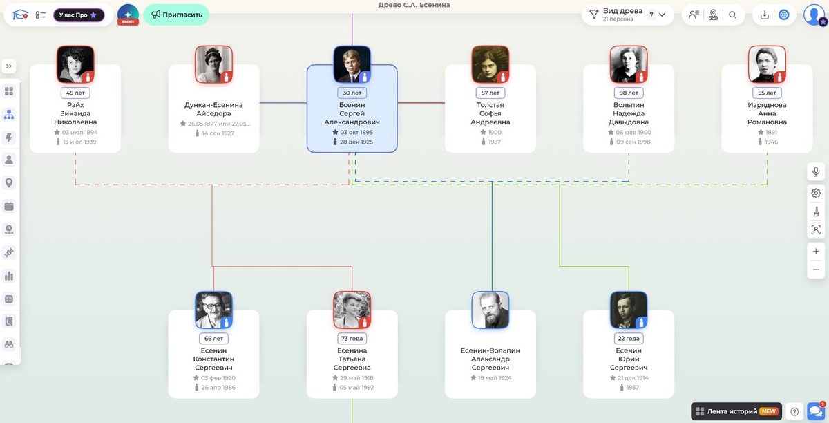 Жены и дети Сергея Есенина на семейном древе в сервисе Famiry
