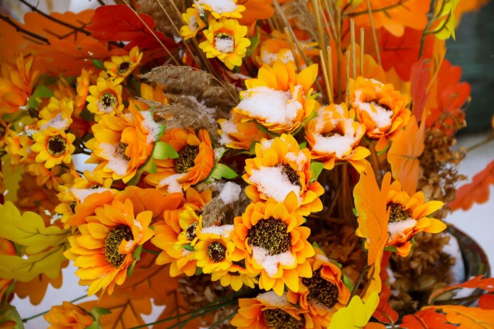    Снег в Барнауле, погода. Источник: Виталий Барабаш