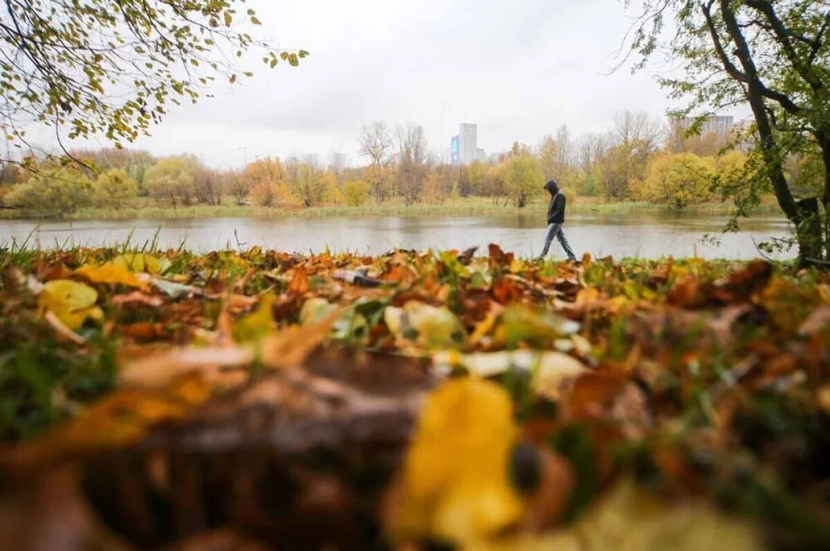    В воскресенье в столице будет и тепло, и солнечно.