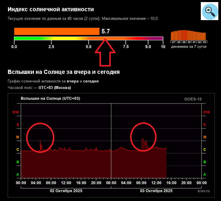 Аналитика автора