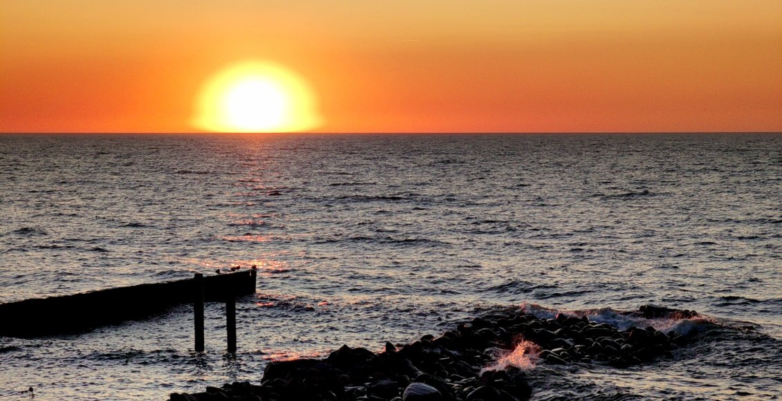    Фото: НИА "Экология"