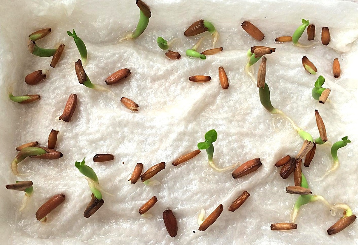 из открытых источников