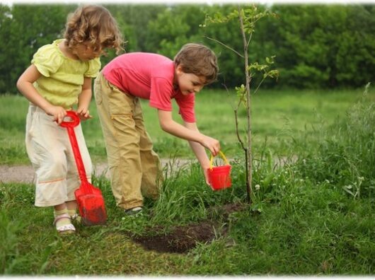    //Фото с сайта photo.bigbo.ru