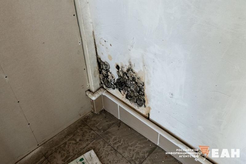    Образуется плесень