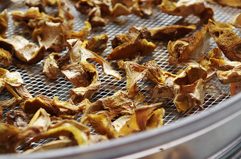 Для сушки замечательно подходят дегидраторы