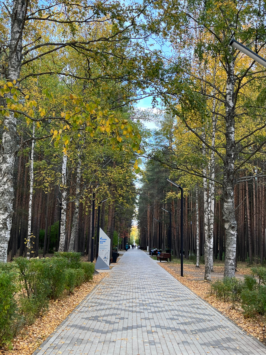 Детский парк