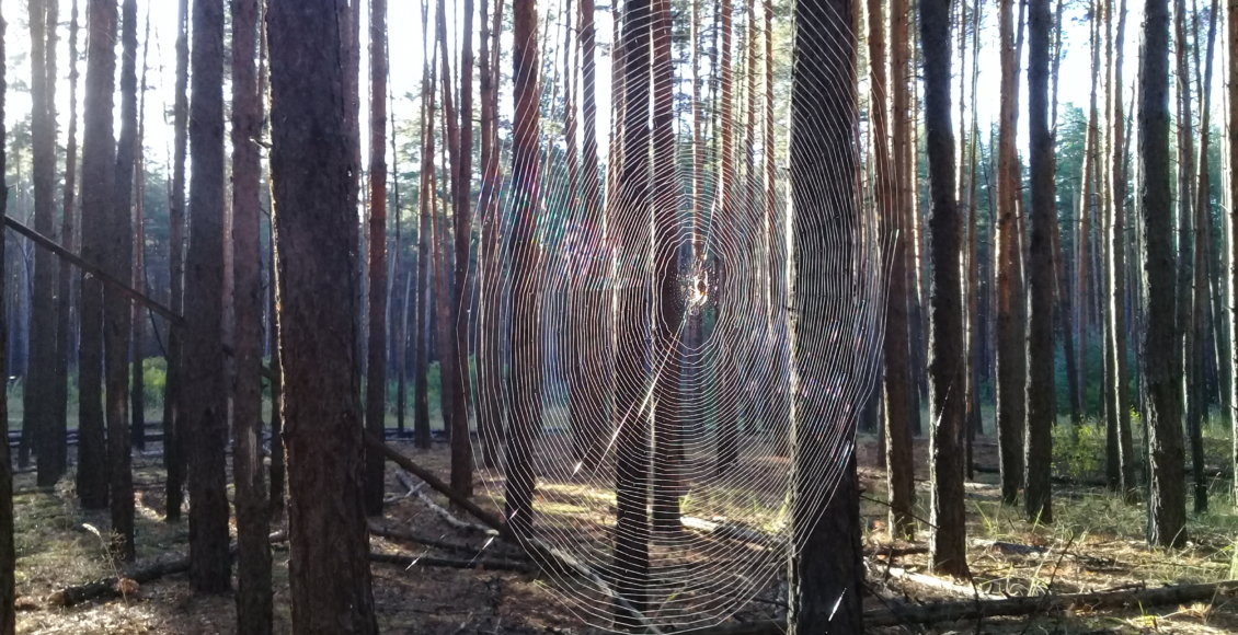    Фото: НИА "Экология"