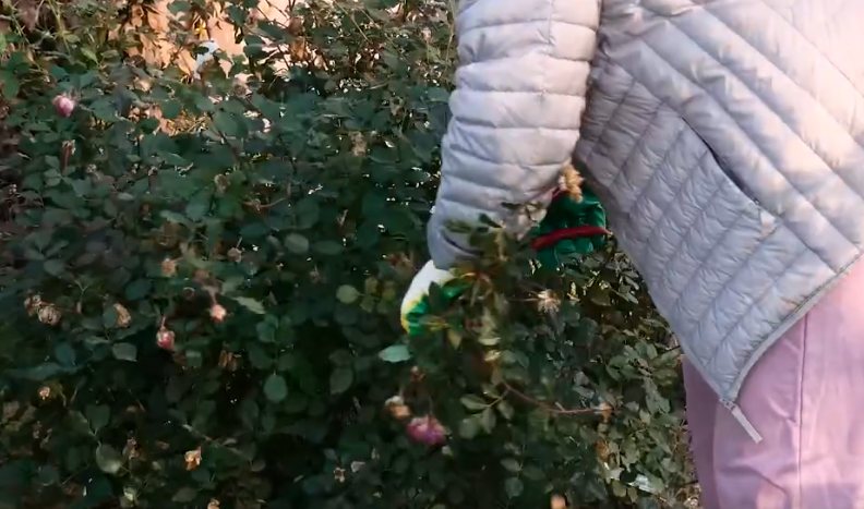 -2