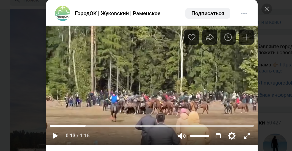 Фото: паблик "ГородОК Жуковский Рамеснкое"/vk.com.