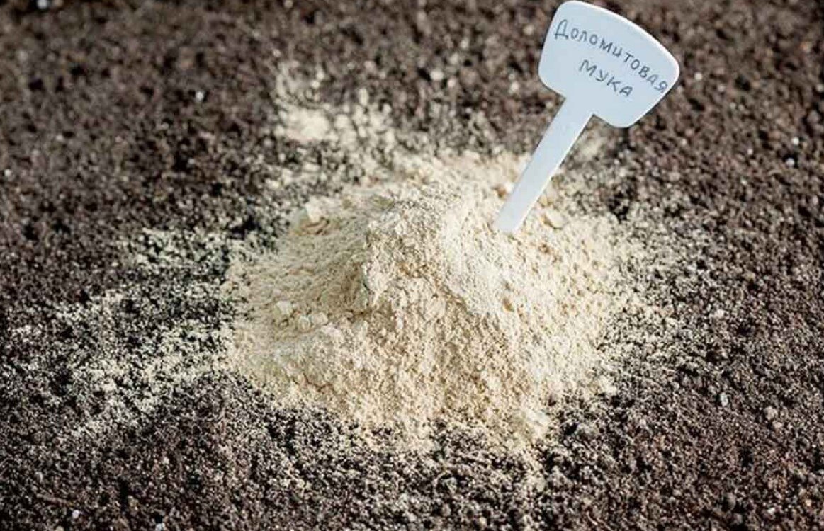 Доломитовая мука и удобрения: 3 смертельных сочетания, которые оставят вашу почву бесплодной
