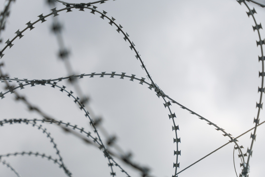    Алексей Белкин/NEWS.ru