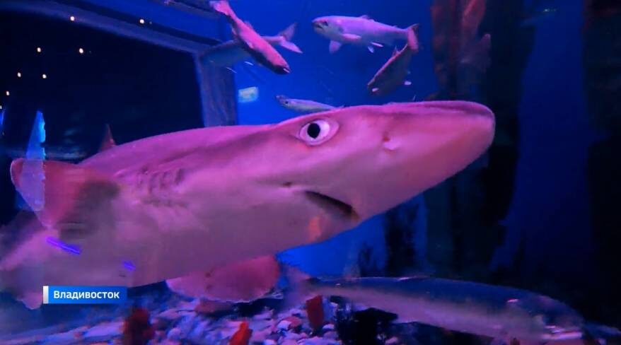    Источник фото: