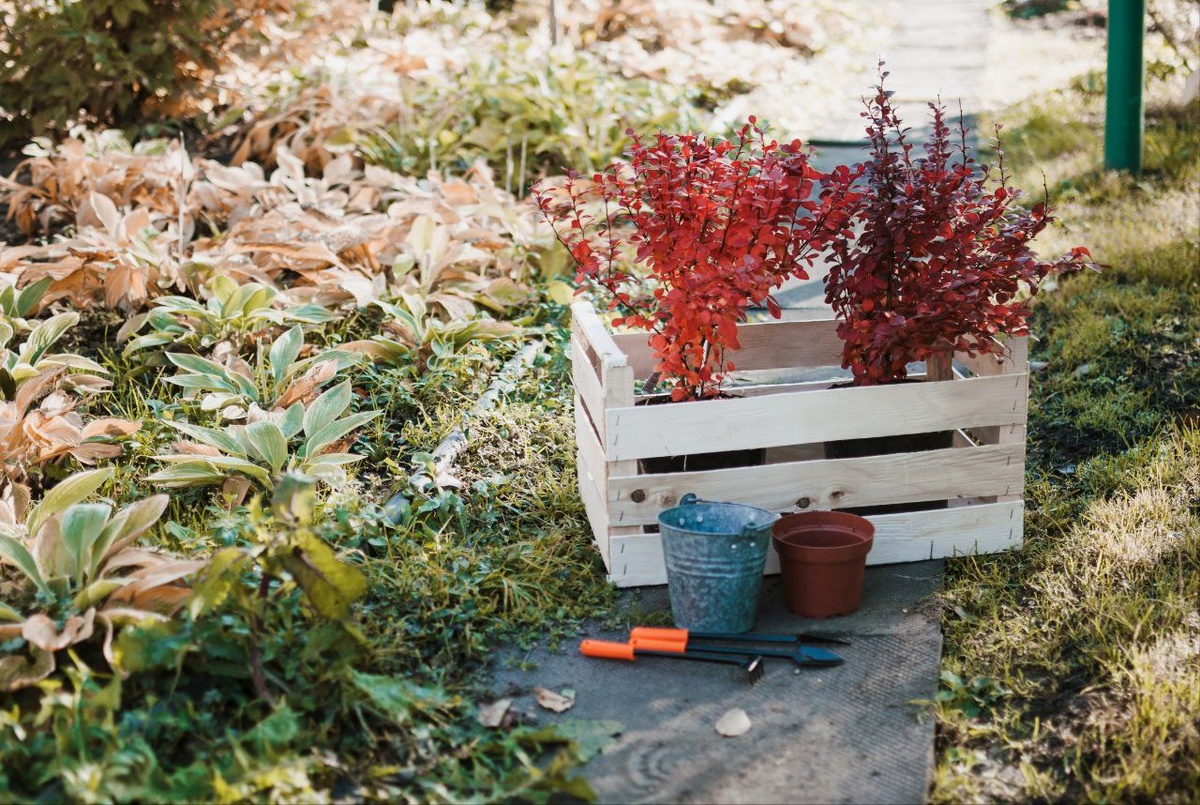 Фото: freepik.com