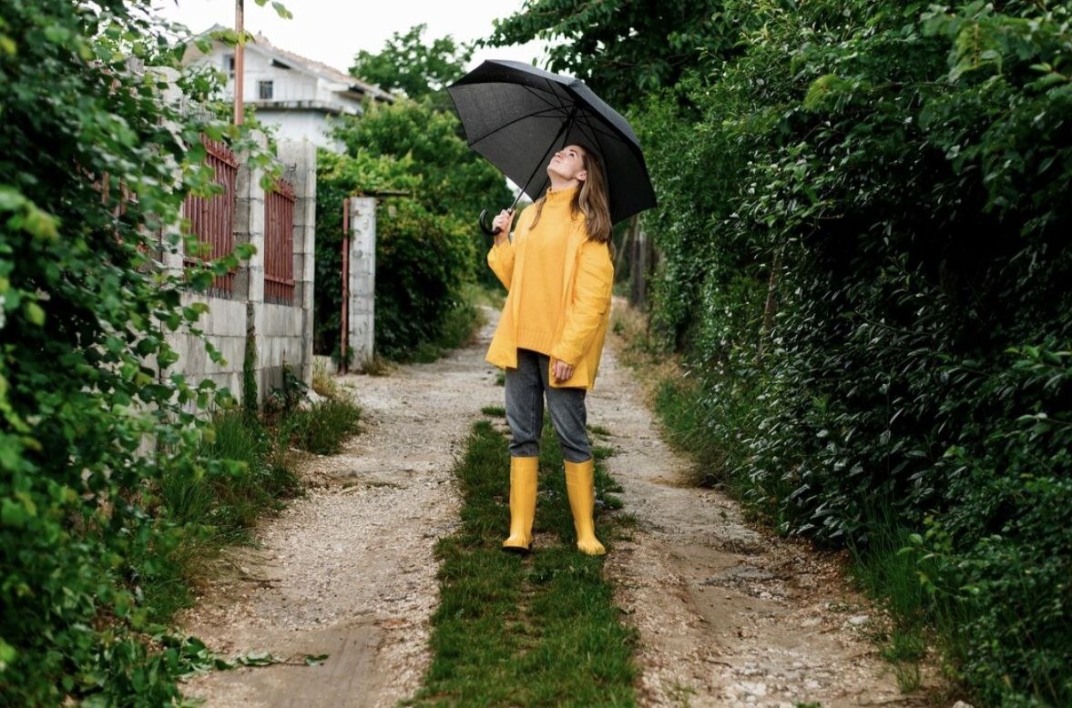 Фото: freepik.com