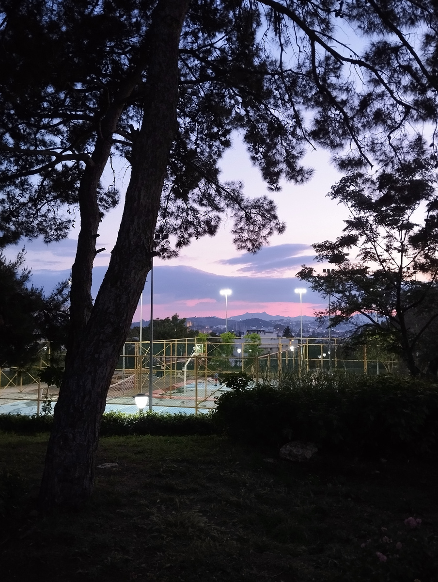 фото автора, парк на закате