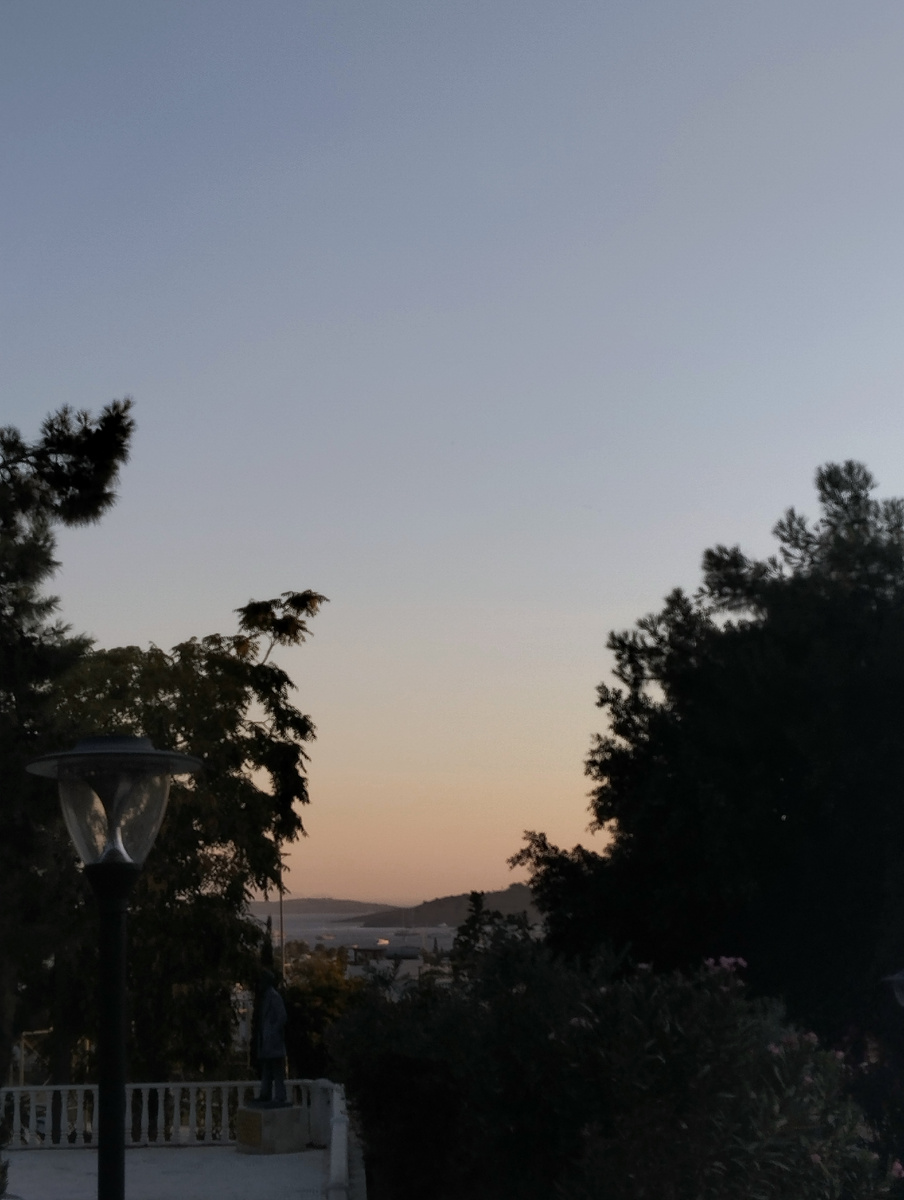 фото автора, парк на закате