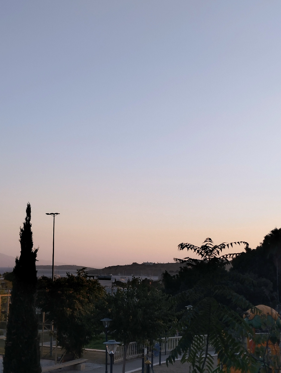 фото автора, парк на закате