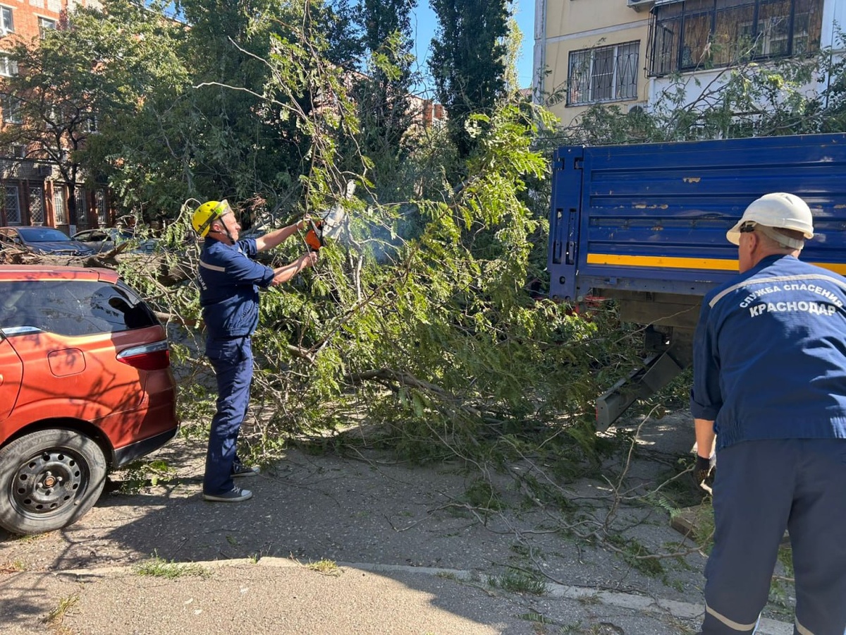    Фото: ЕДДС Краснодара