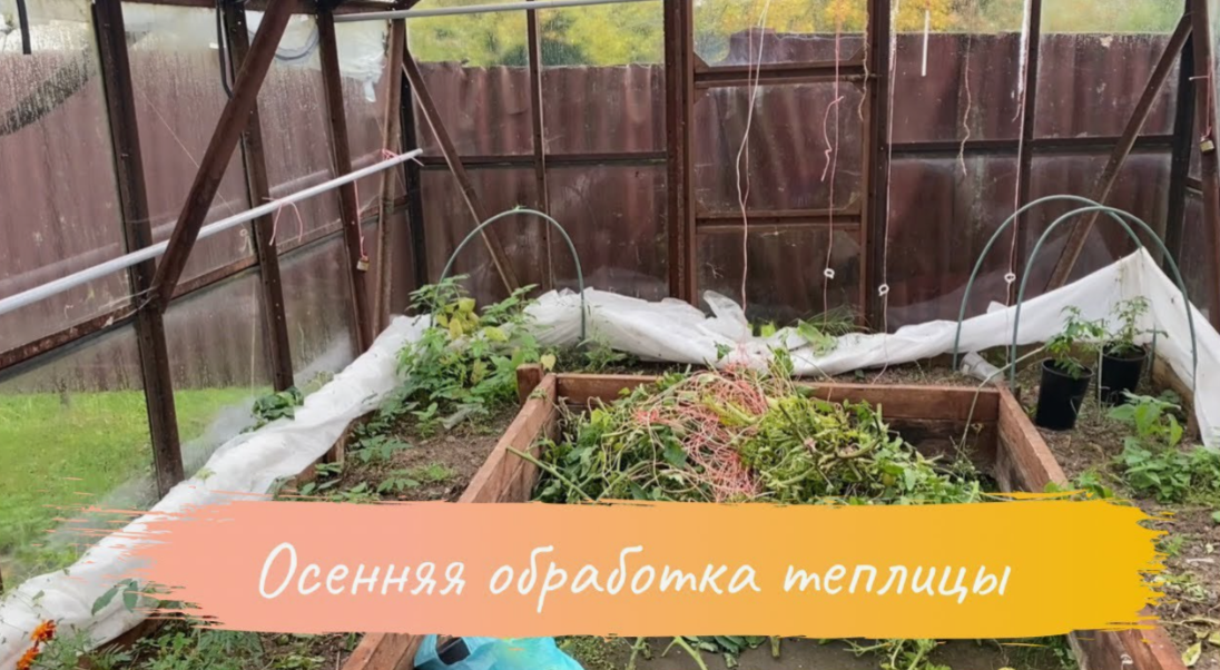 обработка теплицы в октябре