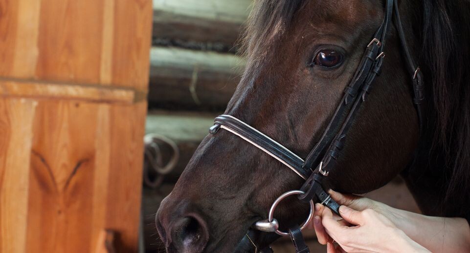    Медиасток.рф