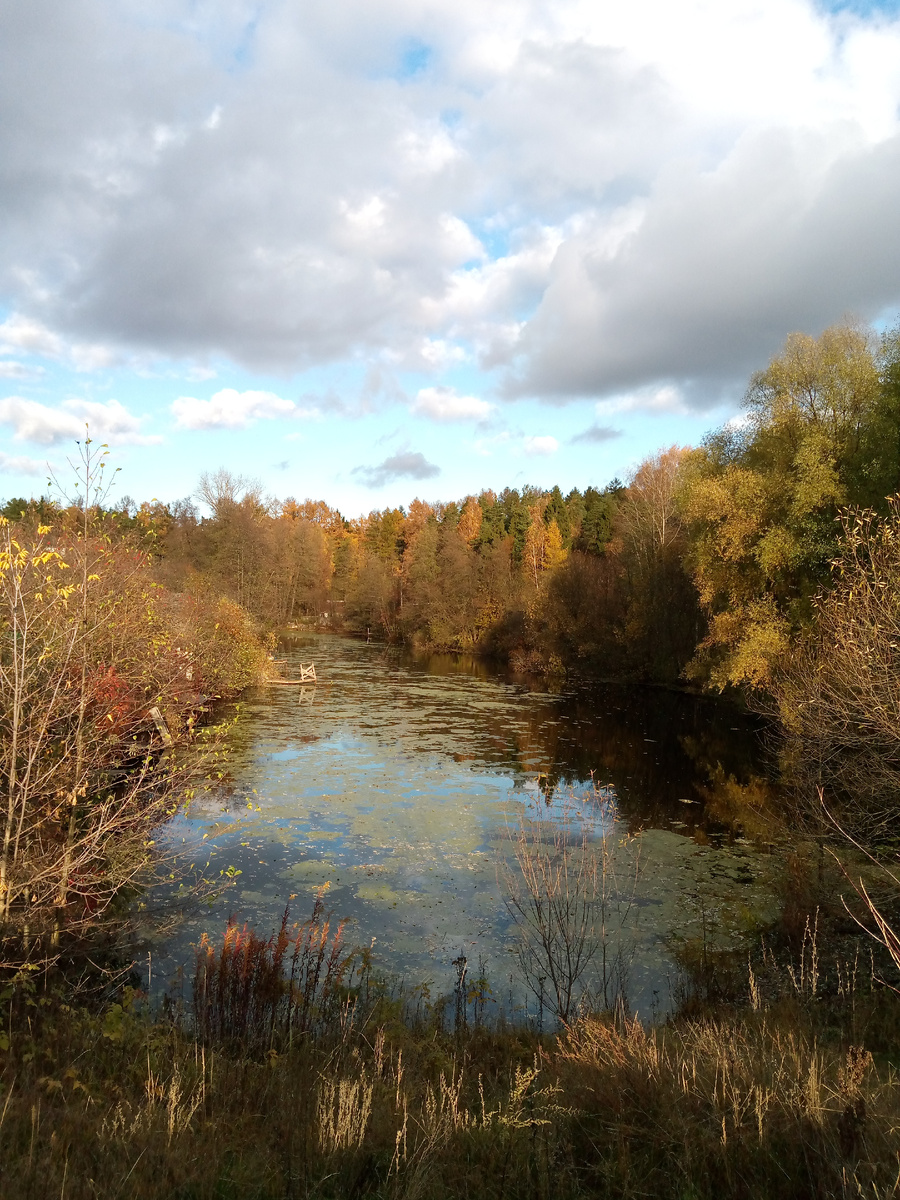 Осень. Лесной пруд. Фото Алены Селивановой