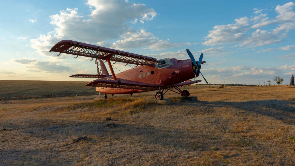   Фото: Ievgen Ocheiev/Shutterstock/Fotodom