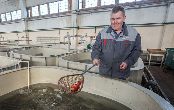 Донат Сорокин/ТАСС