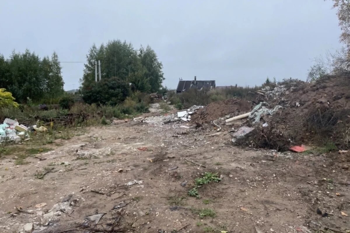    Нижегородец заплатит 1,9 млн рублей за назаконную свалку