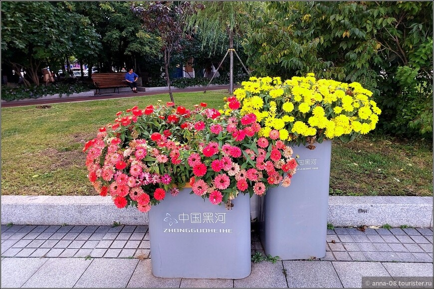 © Анна Кудрявцева