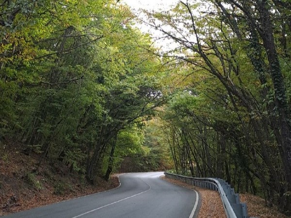 Дорога к Байдарским воротам со стороны с. Орлиное
