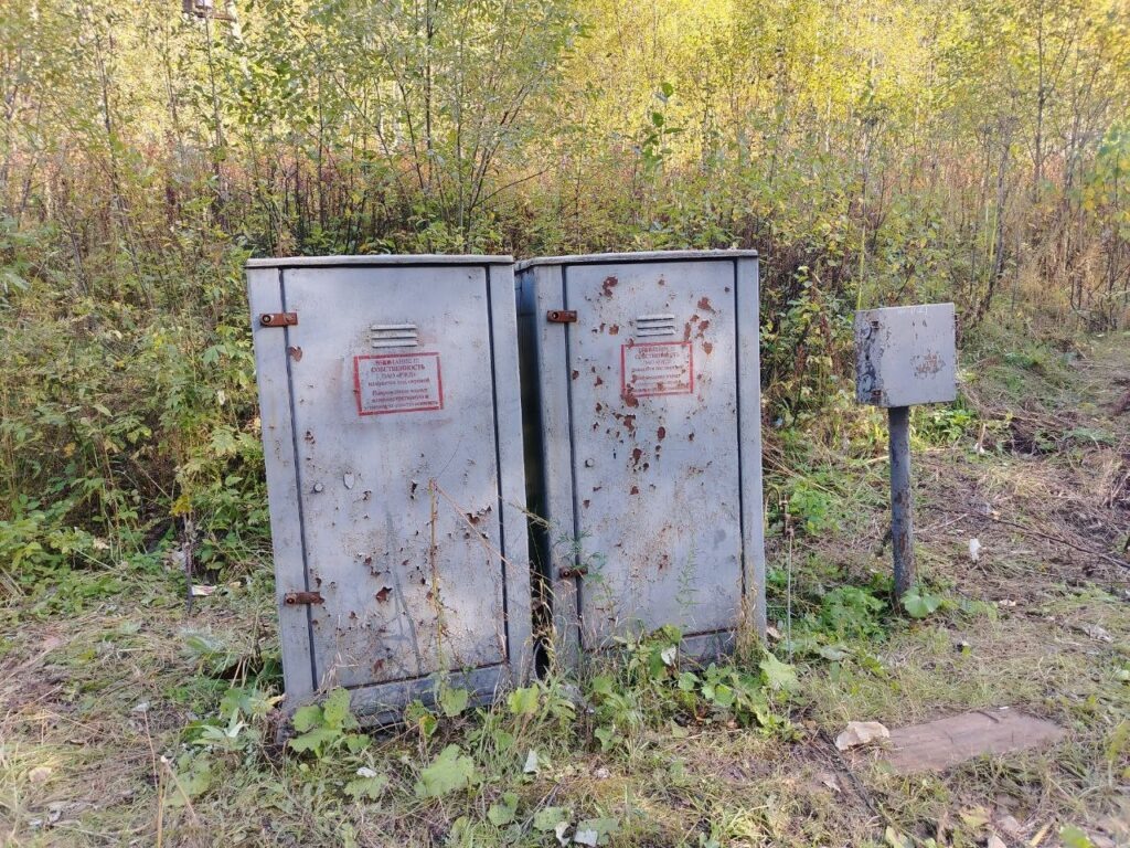    Фото: В курсе.ру Полина Анкушина