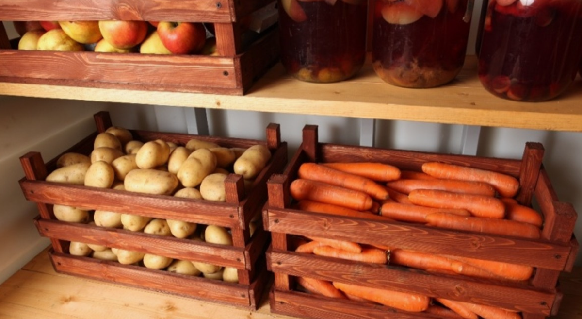 хранение урожая